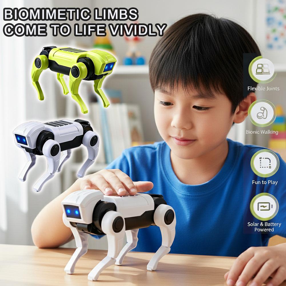 Zestaw do samodzielnego montaż – Diy Electronics For Kids recenzja i cena